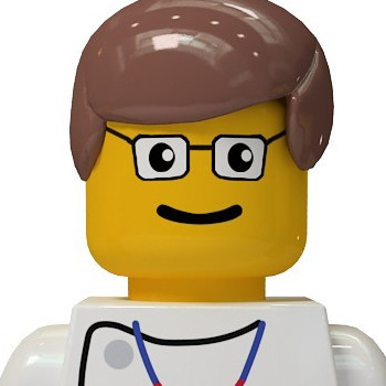 profile lego